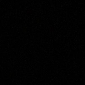 Meet your Posher, Freddy